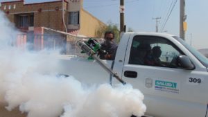 anti-termite
